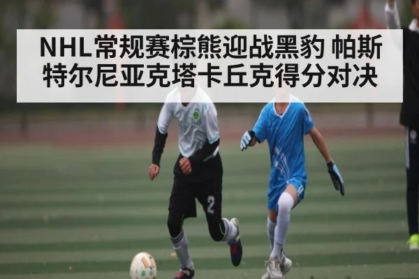 NHL常规赛棕熊迎战黑豹 帕斯特尔尼亚克塔卡丘克得分对决